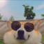 Lawfy