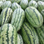 AnAbnormalMelon