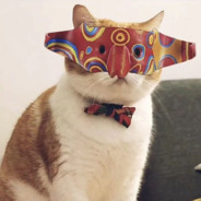 经济黑洞老毒刘