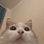 Avatar of player так я ж генерал