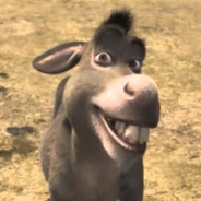 donkey666