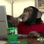 NotHomoButSapiens