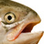 TResKa