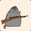 Pusheen Cat