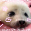 Yuki