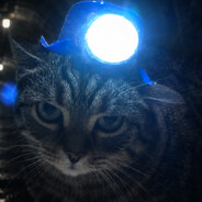 Avatar snapshot