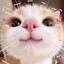 Lau's avatar