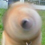 2024浙江高考理科状元