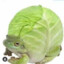 żapusta