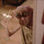 Dobby