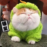 别问，问就是仙女