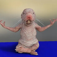 BOT Rat
