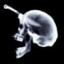 ✯   ᴶᵃᵇᵐᵃᵏᵉʳ
