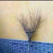 让我王守义闻你13香不香