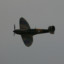 Spitfire