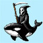 Mini Orca