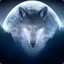 Beta_wolf