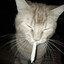 ДымныйКотофей