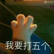 二大爷家的土狗尾巴