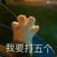 二大爷家的土狗尾巴