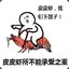 皮皮虾i