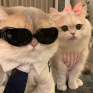 她田满了我的奕生