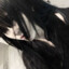 hikatsumori