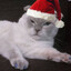 котик для вязки
