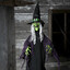 Witch/Goblin Impressionist©