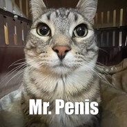 Mr.Penis