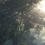 dénch - steam id 76561197968798725