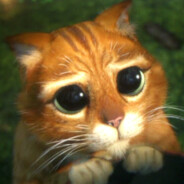Techowl avatar