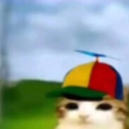 benog avatar