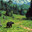 Bear avatar