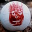 ¡Wilson!