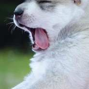 宇宙第一Ju厉害