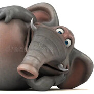 кортофельный рья