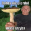 Jakuuube