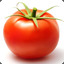 Murk Tomato