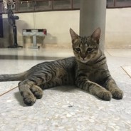 สวยค้าบ