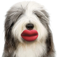 ChrisDogLips