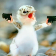 葵千惠教你RB一喷五