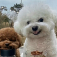 朱嘉乔及儿流龙