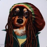 King_777 - steam id 76561197971279734
