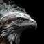 NomadHawk