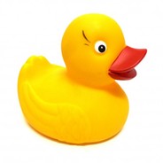 Quack The Duck