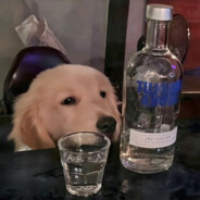 传奇魔王特蕾西娅