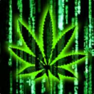 mYs.eXe rekrutuje ON