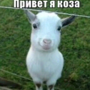 VZk1ll turbo flex 2000