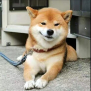 天空灰的像哭过